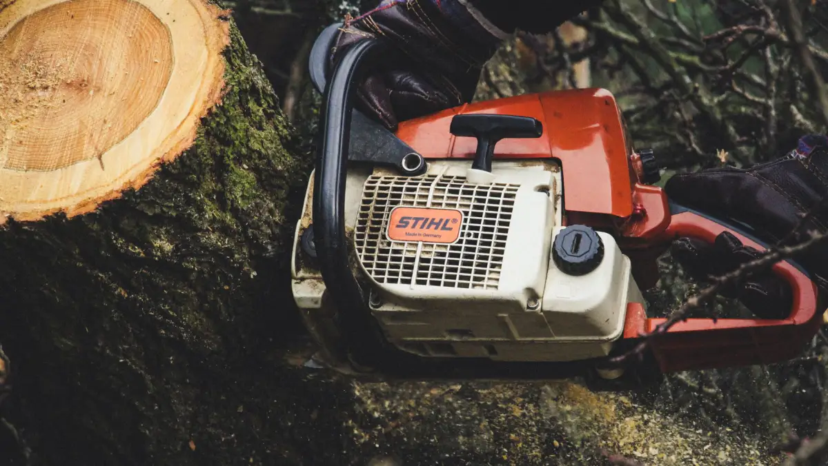 Chainsaw mid-cut into a tree trunk