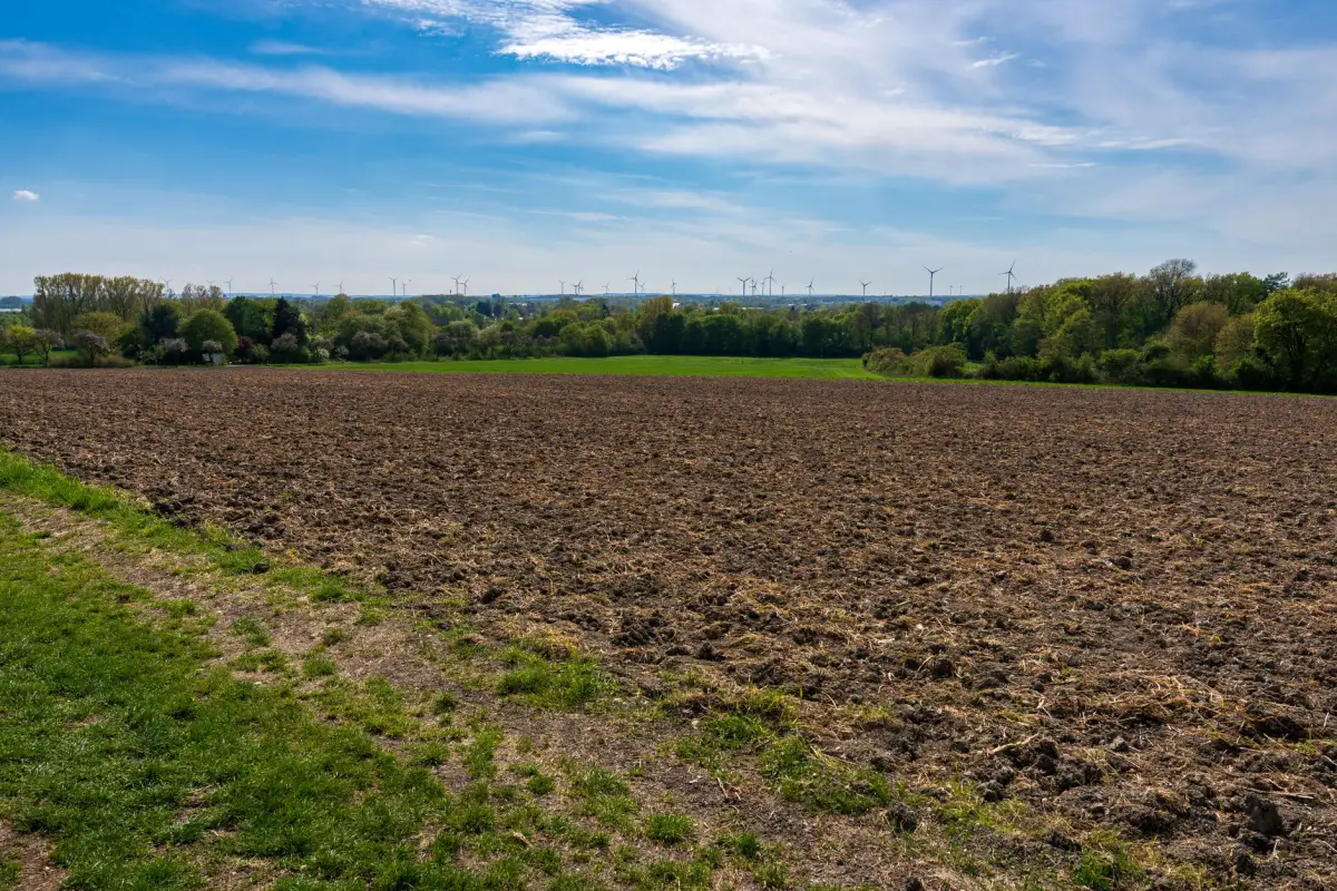 Open ground after brush and vegetation removal