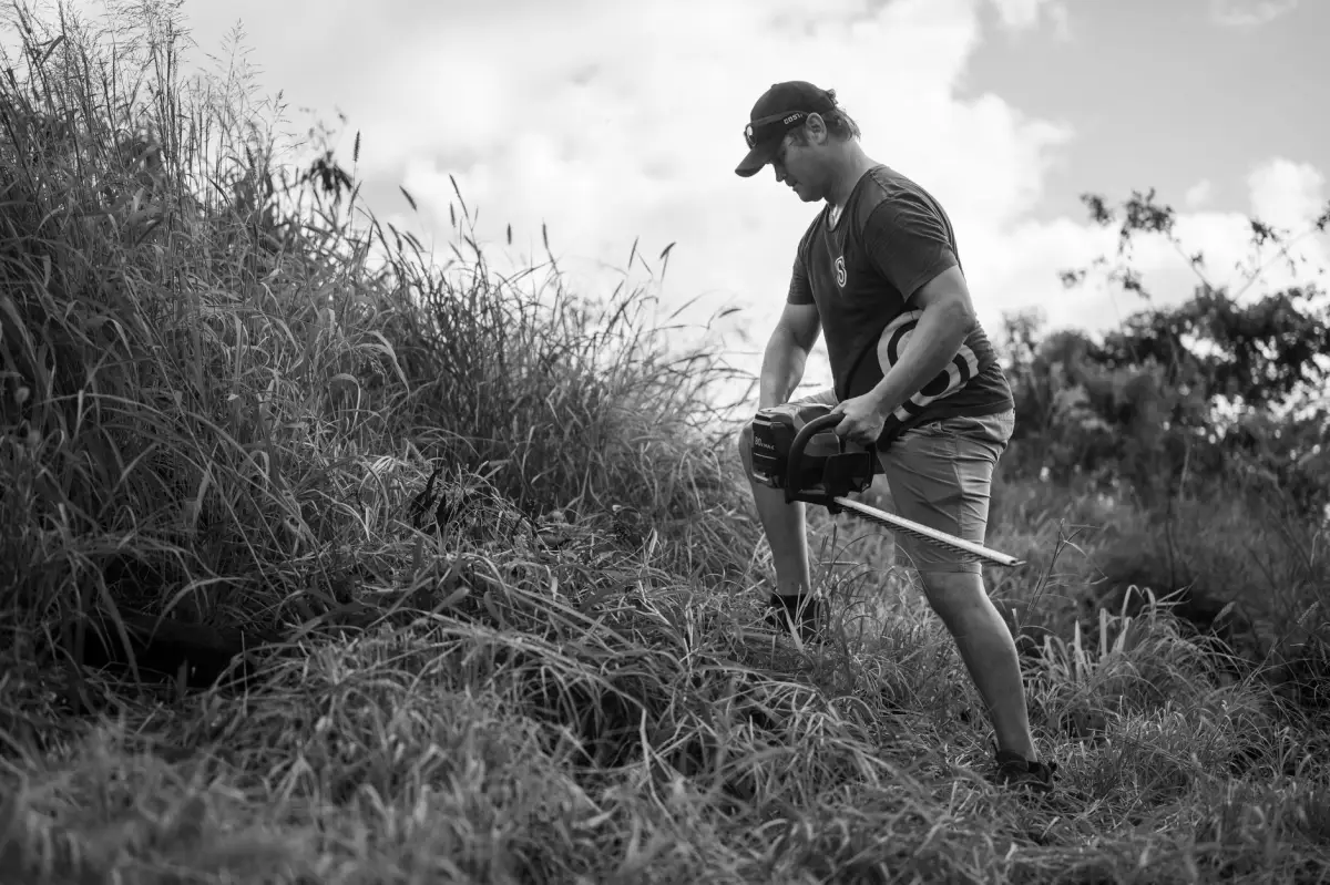 Worker clearing invasive brush and undergrowth