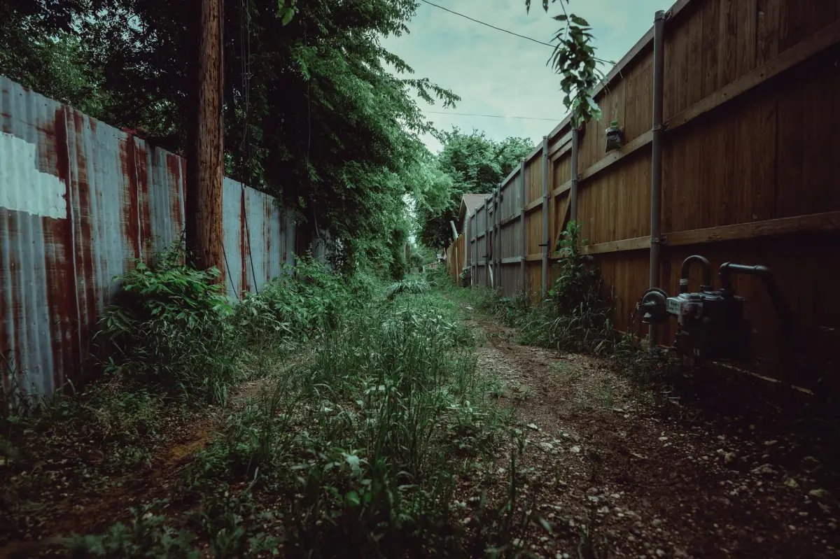 An overgrown fence line covered in brush and vegetation