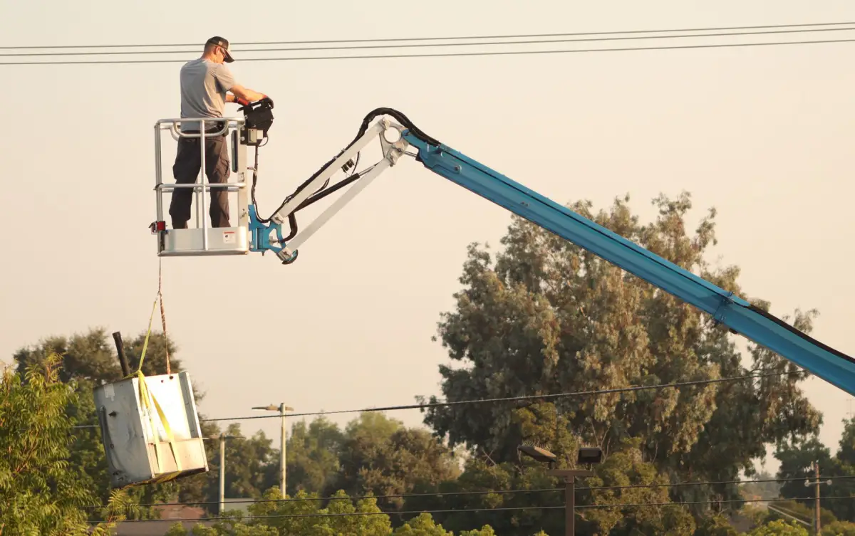 A crane lifting a large tree section during removal