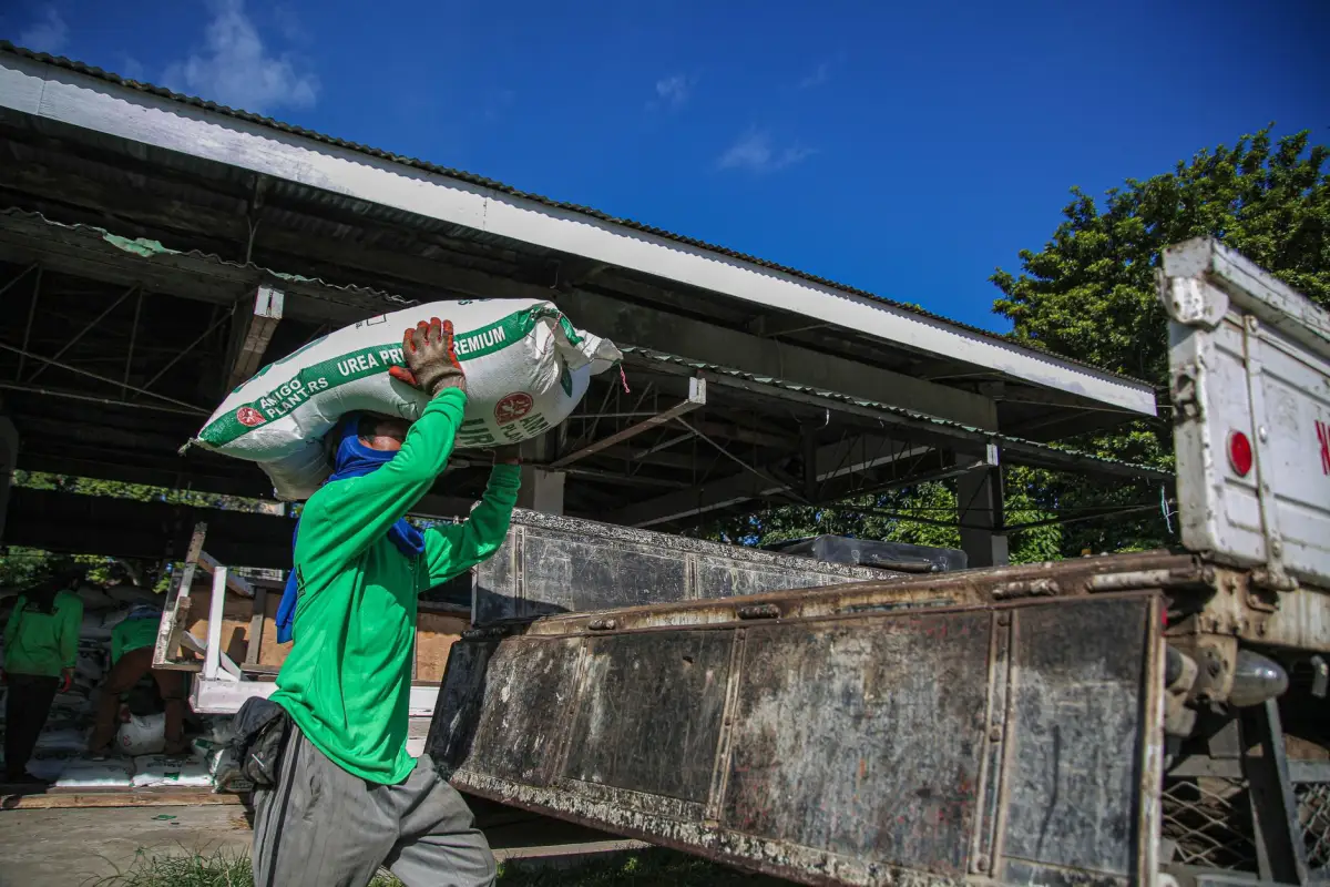 Worker loading cut branches onto a truck