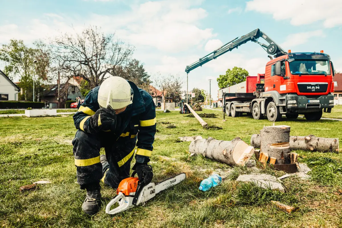 Crane assisting with a tree removal near a structure