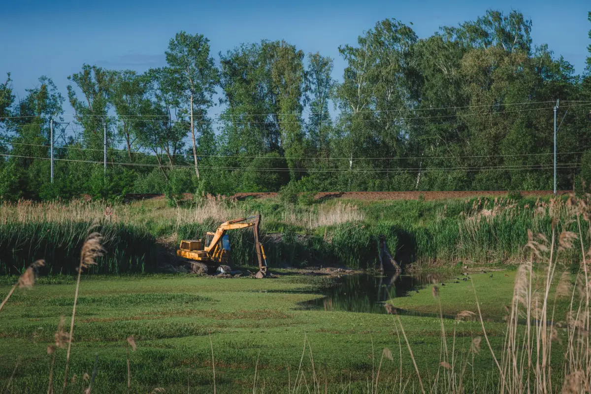 An excavator clearing a wooded lot