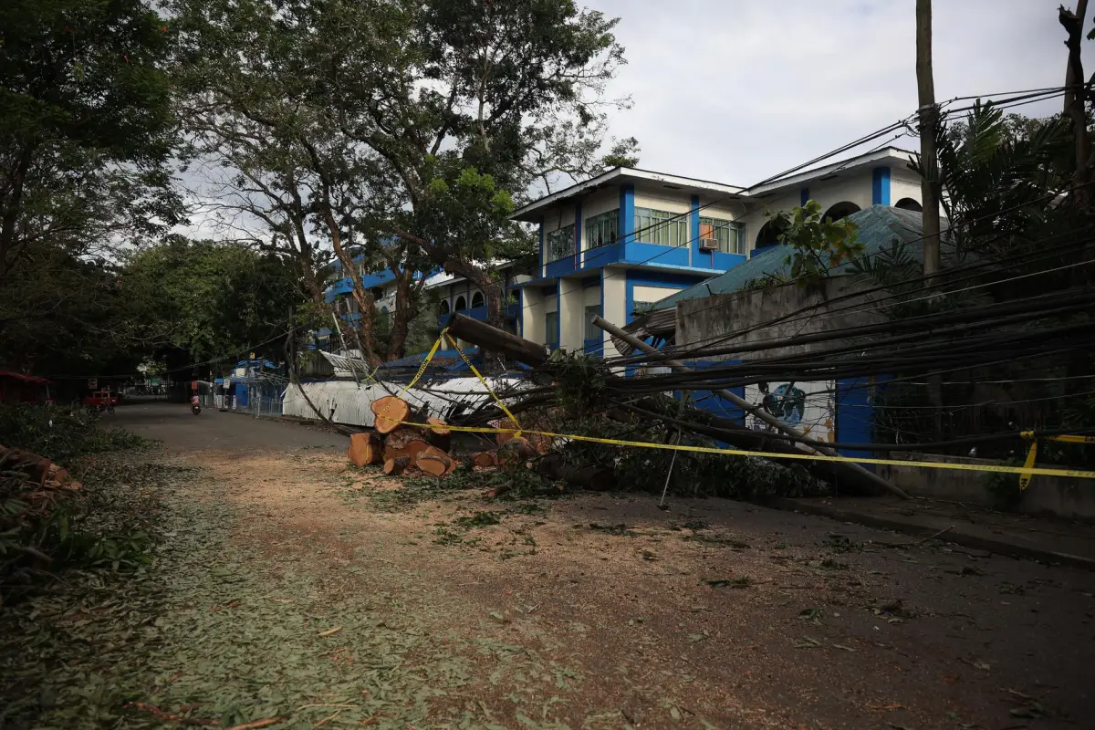 An uprooted tree lying across a suburban street after a storm