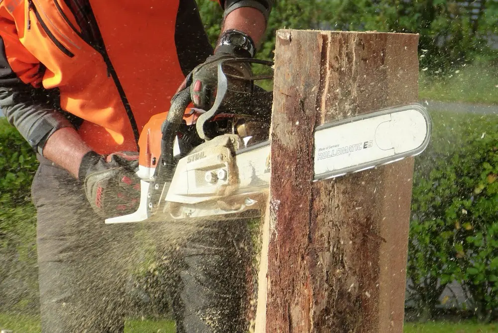Worker cutting a tree trunk with a chainsaw